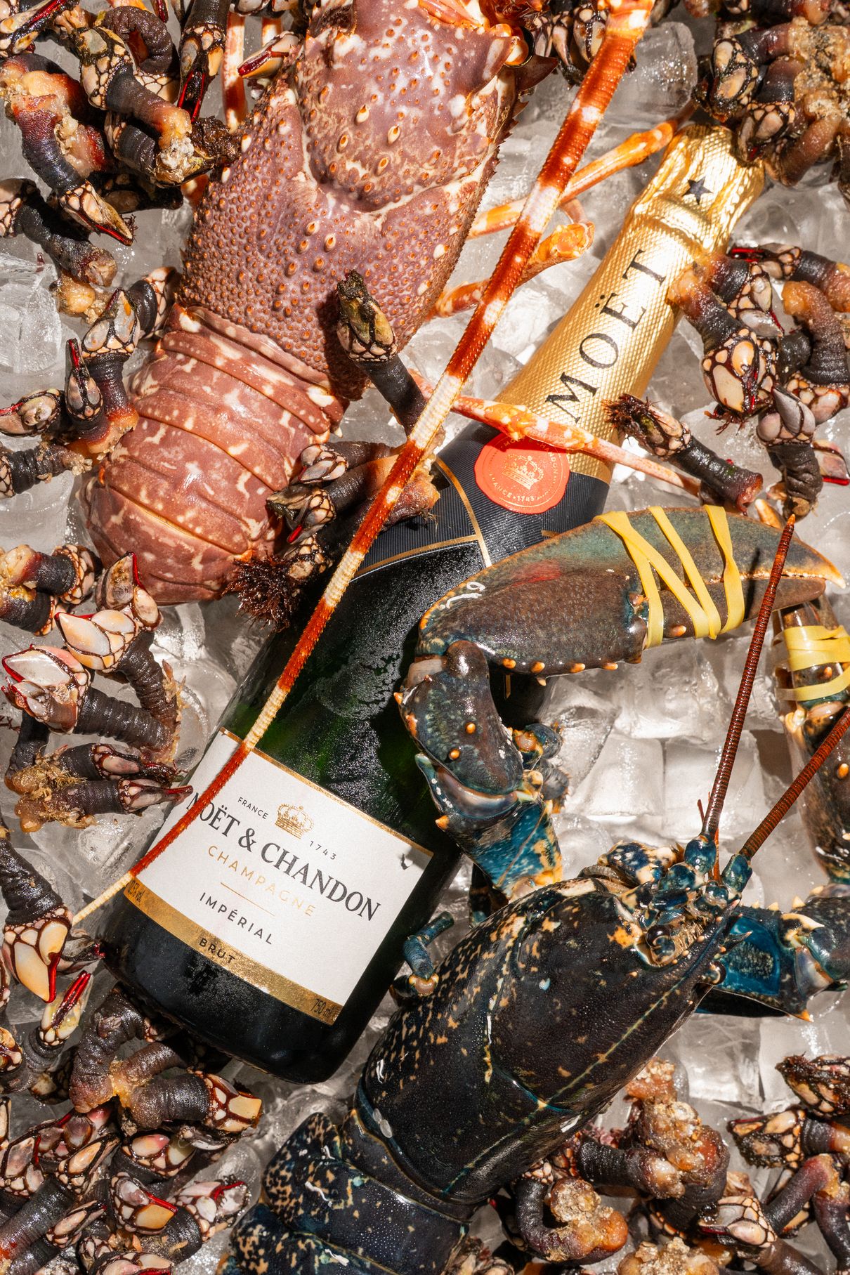 Marisco sobre gelo com garrafa de champanhe Moët